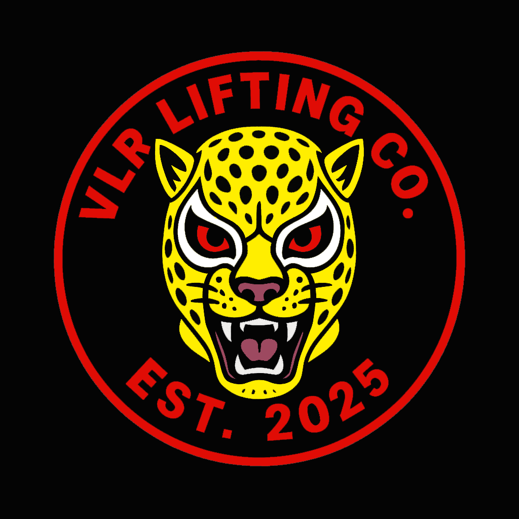 VLR Logo Design 2